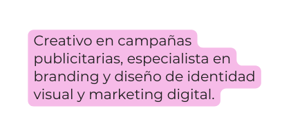 Creativo en campañas publicitarias especialista en branding y diseño de identidad visual y marketing digital